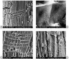 The table variable is a special type of the local variable that helps to store data temporarily after the table keyword, we have to define column names and datatypes of the table variable in sql server. The Upper Palaeolithic Site Doroshivtsi Iii A New Chronostratigraphic And Environmental Record Of The Late Pleniglacial In The Regional Context Of The Middle Dniester Prut Loess Domain Western Ukraine Sciencedirect