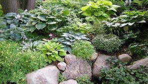 Design Lessons From A Minnesota Shade Garden Sloped Garden Shade Garden Rock Garden