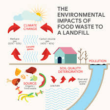 Biogreen100 food waste liquefying processor is a patented microorganism invention from korea. Food Waste Is Destroying Our Planet And Malaysia S Eco Foodsoft Is Trying To Prevent It Beamstart News