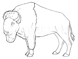 How To Draw Buffalo Bison Step By Step Drawing Guide By Makangeni Dragoart Com Guided Drawing Drawings Online Drawing