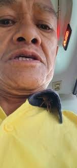 Kirby Beck's Instagram, Twitter & Facebook