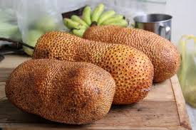 Pasti tiada yang percaya manalah boleh sang cempedak nak jadi nak jadi nangka dunia maju c. Exotic Fruit Southeast Asian Cempedak