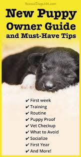 First Time Dog Owners Guide Checklist Tips New Puppy Puppy Owner Easiest Dogs To Train