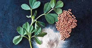 How to grow fenugreek at home. Fenugreek Production Guide Shyama Tips A A A A A Methi Farming Fenugreek Cultivation How To Grow Fenugreek Fenugreek Is Also Called Methi