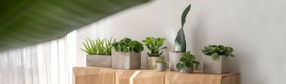 Check spelling or type a new query. Home Pottery Pots Us
