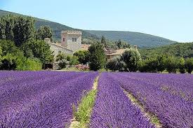 Lavande Et Bastide Ardeche Drome Paysage De Lavande Paysage De Provence Champs De Lavande
