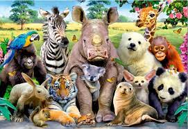 Our jigsaws feature everything from beautiful country scenes and unique animal shapes to complicated cartoon images, seasonal images and holiday themes. Animals Jigsaw Puzzle 1000 Pieces Educa Cool Photo 1001puzzle Com
