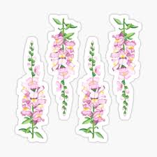 Maybe you would like to learn more about one of these? Snapdragon Gifts Merchandise Redbubble