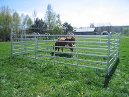Check spelling or type a new query. 9 Things To Consider Before Buying Cattle Panels Chinh Dai Steel