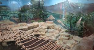 Le 2 juin 2016, un panda géant mâle est né, à la suite d'une insémination artificielle pratiquée avec succès en février 25, 26. Archives Des Beauval Aab