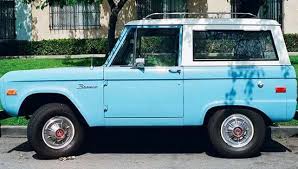 Image result for Chamois Glow 1980 Bronco