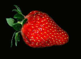 We have an extensive collection of amazing background images carefully chosen by our community. Hd Wallpaper Strawberry Red Sweet Ripe Black Background Healthy Eating Wallpaper Flare