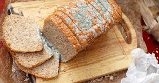 Ask Well Is It Safe To Eat Moldy Bread Food Eat Food Safety
