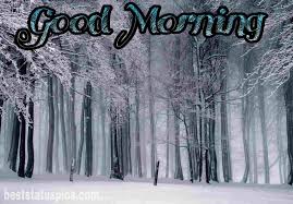 Best good morning hd images, wishes, pictures and greetings. Winter Good Morning Wishes Hd Images Pictures Best Status Pics