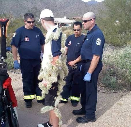 The Attack of The Jumping Cactus! — The Get Up Mama