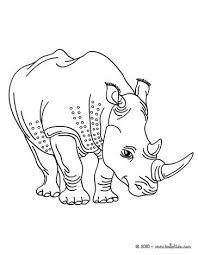 African Animals Coloring Pages Two Horned Rhinoceros Animal Coloring Pages Puppy Coloring Pages Coloring Pages