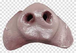 Pig Nose Snout Snowman Winter Outdoors Transparent Png Pngset Com