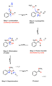 This was due majorly for the fact that the filteration system on many of the suction faucets did not work, making for repeated trials while losing. Acid Catalysis Of Organic Reactions Why It Works