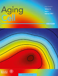 Phd student working on epigenetics and stem cells and with a big interest in bioinformatics. Senescence Associated Dna Methylation Is Stochastically Acquired In Subpopulations Of Mesenchymal Stem Cells Franzen 2017 Aging Cell Wiley Online Library