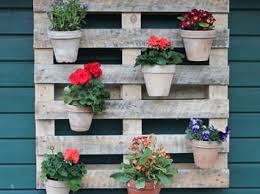 Aus Einer Alten Palette Wird Ein Schicker Und Individueller Blumenkasten Http Www 1 2 Do Com Vertikale Gartenmauer Ummauerter Garten Palettengarten