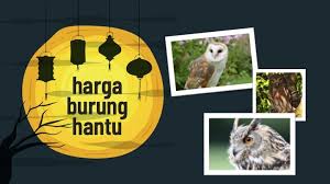 We did not find results for: Info Burung Hantu Harga Satwa Dilindungi Jenis Jenisnya