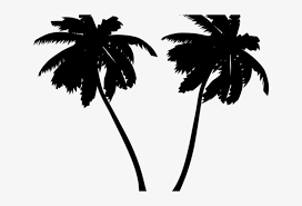 Bamboo trees black silhouettes and watercolor red circle paint stain isolated on a white background. Palm Tree Vector Art Free White Palm Tree Clipart 640x480 Png Download Pngkit