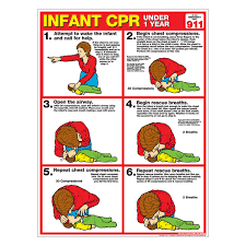 Cpr Chart Infant Laminated