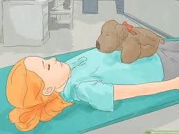 Indeed, they said it when you asked for a bike (however you currently have one). How To Annoy Your Parents 10 Steps With Pictures Wikihow Fun