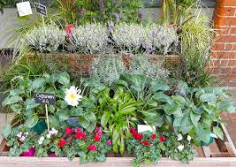 Hortus Home And Garden Shop Blackheath London Homegirl London
