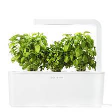 The Smart Garden 3 Herb Garden Kit Indoor Herb Garden Fresh Herbs Garden