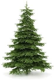 Christmas tree cartoon artificial christmas tree christmas tree ornaments cartoon christmas tree our database contains over 16 million of free png images. Christmas Tree Png Christmas Tree Transparent Background Freeiconspng