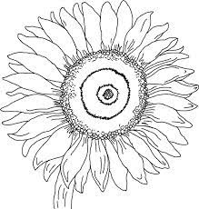 You can save your colored pictures, print them and send them to family and friends! Free Printable Sunflower Coloring Pages For Kids Sunflower Coloring Pages Summer Coloring Pages Sunflower Colors