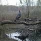 Themed Hike Series: Let's Talk Turkey event image
