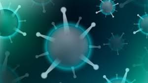 Relief therapeutics news & analysen: Relief Therapeutics And Neurorx Release Promising Data For Potential Covid 19 Treatment Biospace