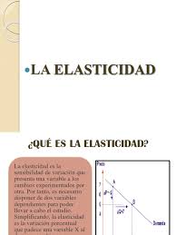 Respuesta de un producto a un cambio en su precio,esta puede. Elasticidad Elasticidad Economia Oferta Y Demanda