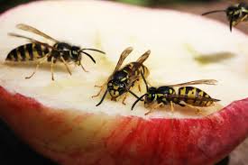 Katrina kaifxxxx wow, I met up with Zoey after a couple of