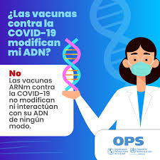 Después de un comienzo lento, la vacunación en alemania comienza a despegar. Ops Oms Panama Fotos Facebook