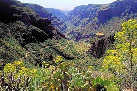 We did not find results for: Schatze Von Gran Canaria Tour In Kleiner Gruppe 2021 Tiefpreisgarantie