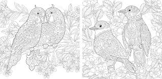 You can give them flowers for any occasion. Coloring Pages Couple Of Lovely Birds In Spring Flower Garden Royalty Free Cliparts Vectors And Stock Illustration Image 150142543