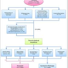 Management Of Ventricular Tachycardia Storm In Study Cohort