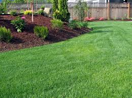 We take care of all your residential lawn care and landscape needs including aeration, fertilization, hardscapes, retaining walls, paver patios and even mosquito spraying. Home Above Beyond Cgm