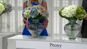 7,101 likes · 37 talking about this. Qvc Save Over 85 On Today S Special Value Peony