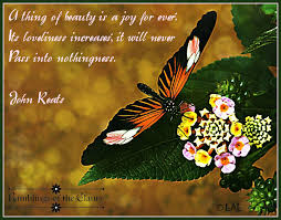 A Thing Of Beauty Beauty Poem A Day Joy