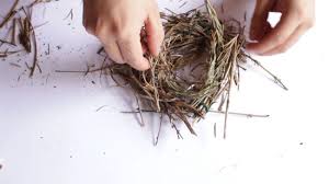 Pull twine apart, and glue inside and outside of nest, add more moss if desired. How To Make A Bird Nest 10 Steps With Pictures Wikihow