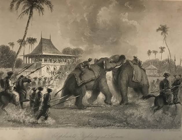 March of the Mammoth, the Indian elephant's story - Sarmaya