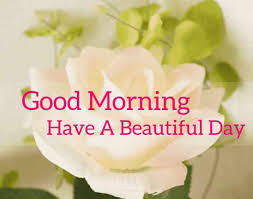 Hand picked articles for you: Good Morning Flower Images And Quotes Free Download Hd