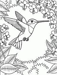 Some we found were free, but were not very realistic or good for coloring. Humming Bird Coloring Page Coloring Home