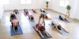 Amidst the chaos of 2020, stacy was more grateful than ever for yoga and completed her 200 hr ryt. How To Find The Right Yoga Studio For You A Healthier Michigan
