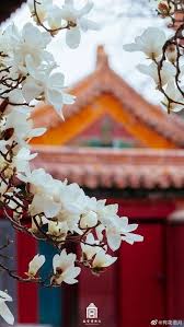 ghim của mari san 3 tren 紫禁城北京 phong cảnh hinh ảnh ảnh tường cho điện thoại