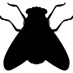 Call today for any pest problem big or small in manhattan. 24 7 Pest Control Nyc 1 Nyc Exterminators Best Nyc 247 Pest Control Near Me Search Nyc Pest Exterminators Near Me Best Pest Control In Nyc 247 Nyc Pest
